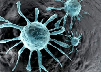 Cancer Types and Their Treatments – Oren Zarif – Cancer